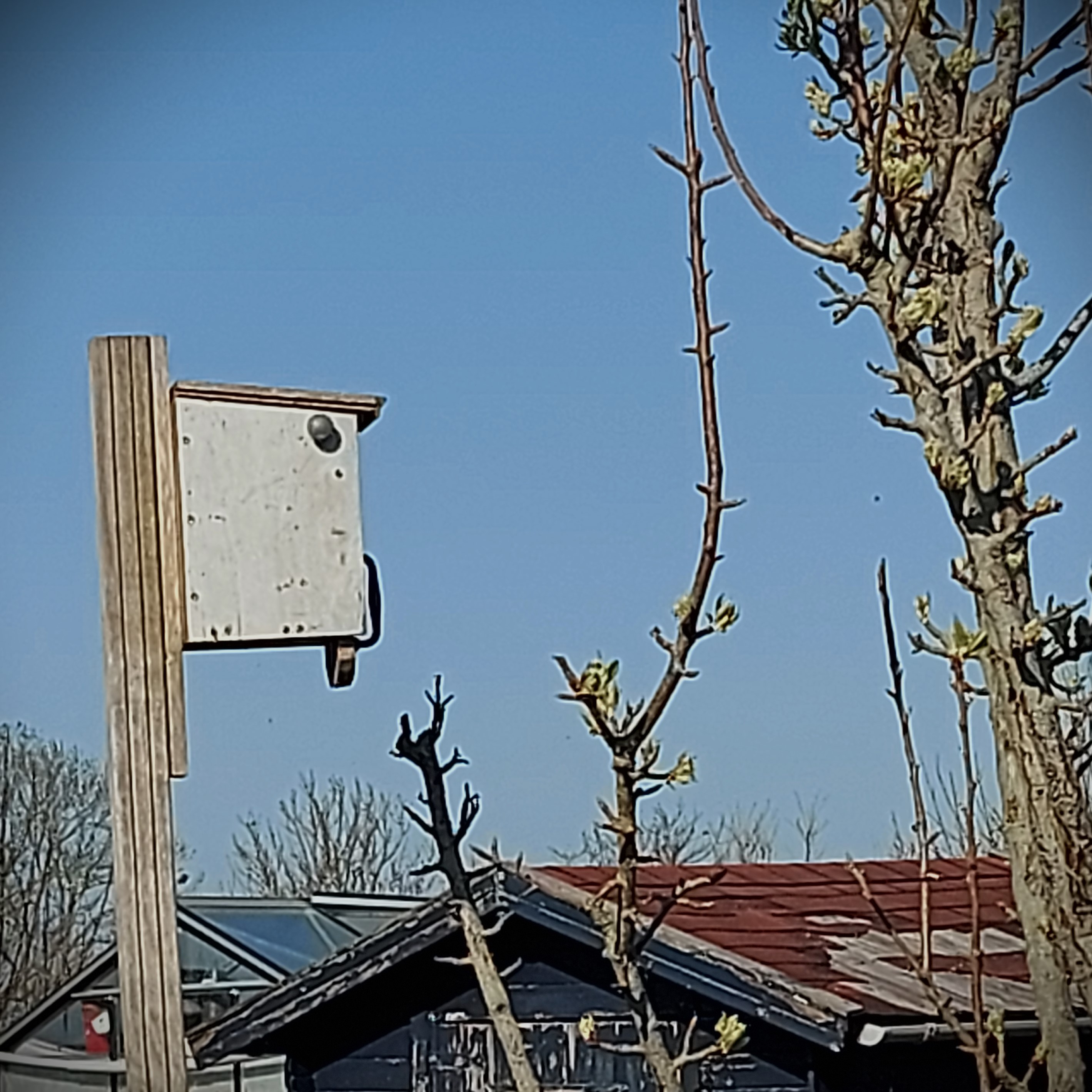 Bewijsstuk A
