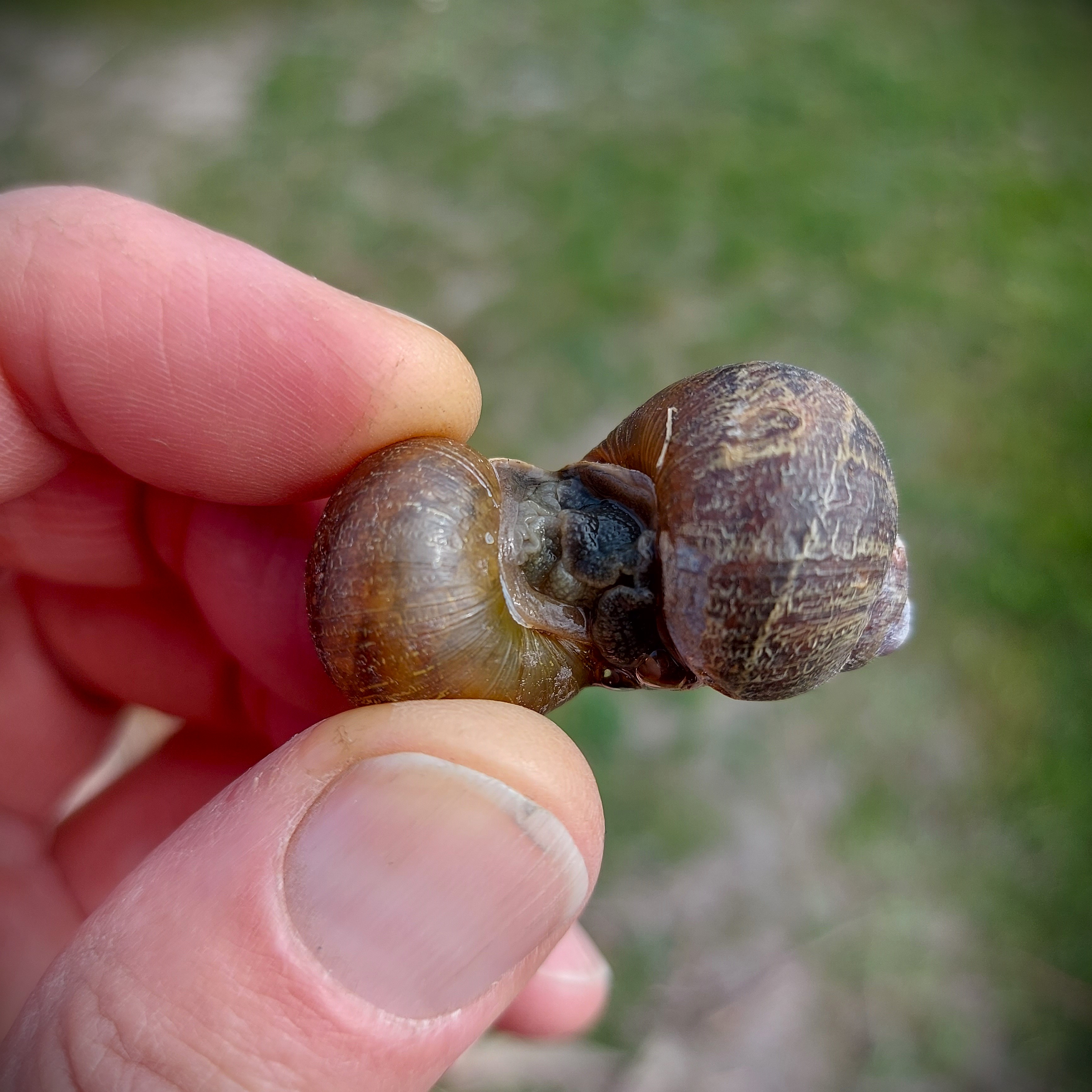 Slow love