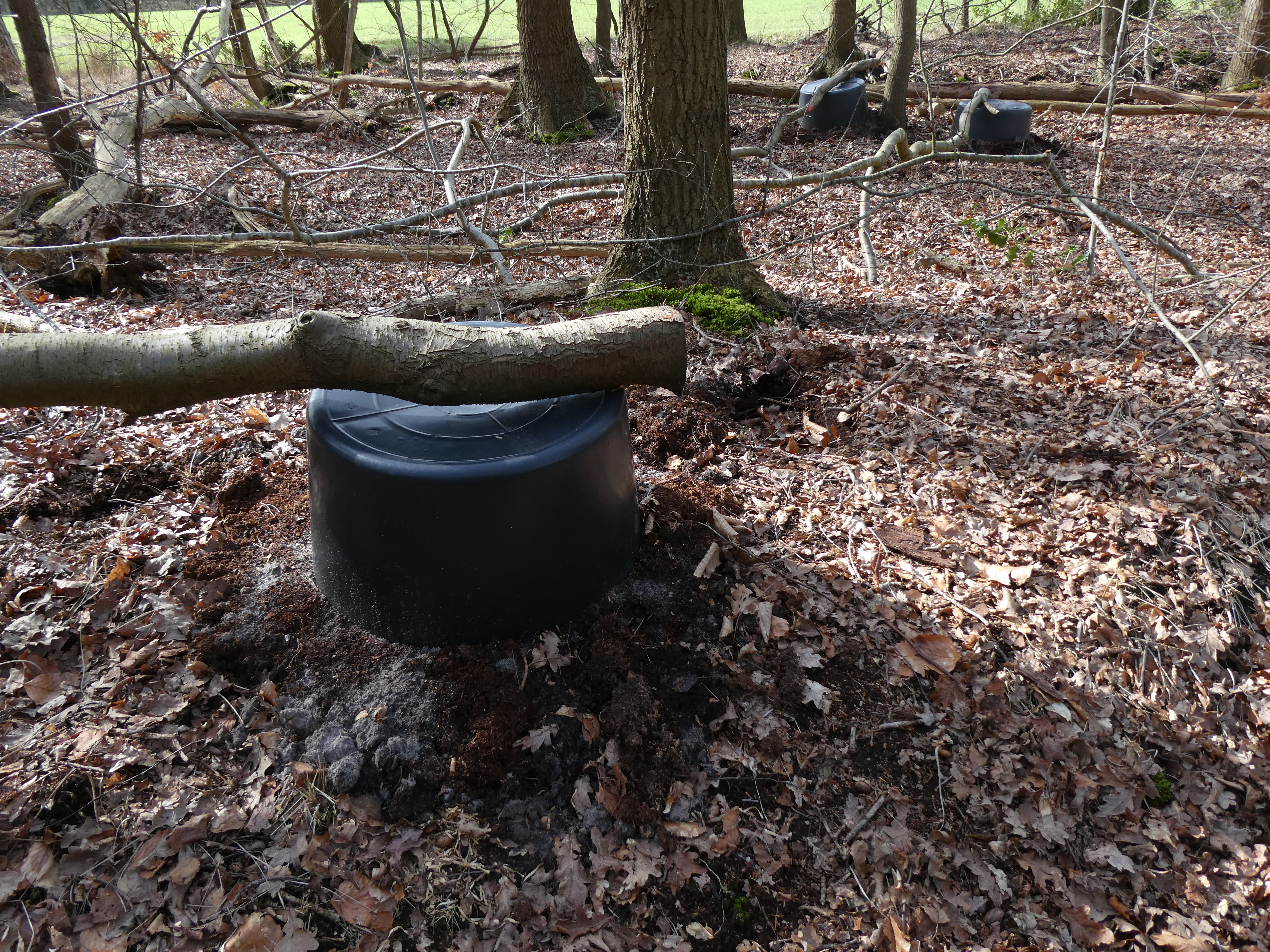 There's a world going on underground